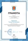 2022-2023 Гайнанов Тимур 7л город (история общество)